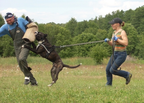 Training in Estonia 6/2007